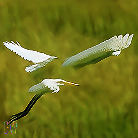 SinGAN_r6_49
